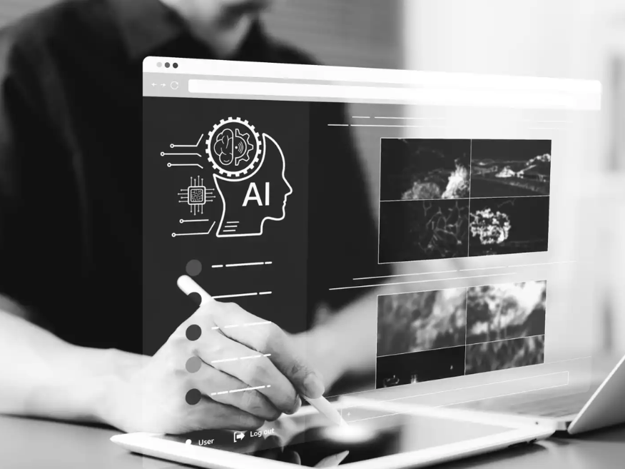 Portfolio Image